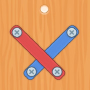 Nuts Bolts Screw Puzzle