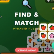 Find n Match